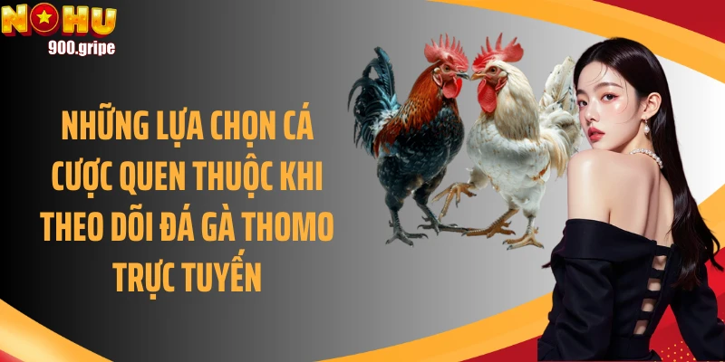 Những lựa chọn cá cược quen thuộc khi theo dõi đá gà Thomo trực tuyến