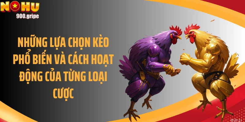 Những lựa chọn kèo phổ biến và cách hoạt động của từng loại cược