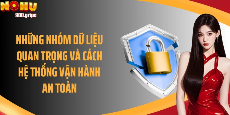 Những nhóm dữ liệu quan trọng và cách hệ thống vận hành an toàn
